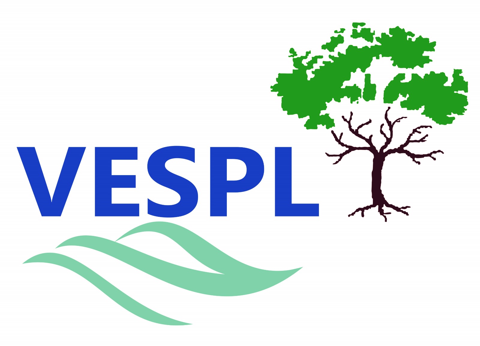Vitasta Enviro Services Pvt. Ltd. Company Logo - Environmental Consultancy Experts